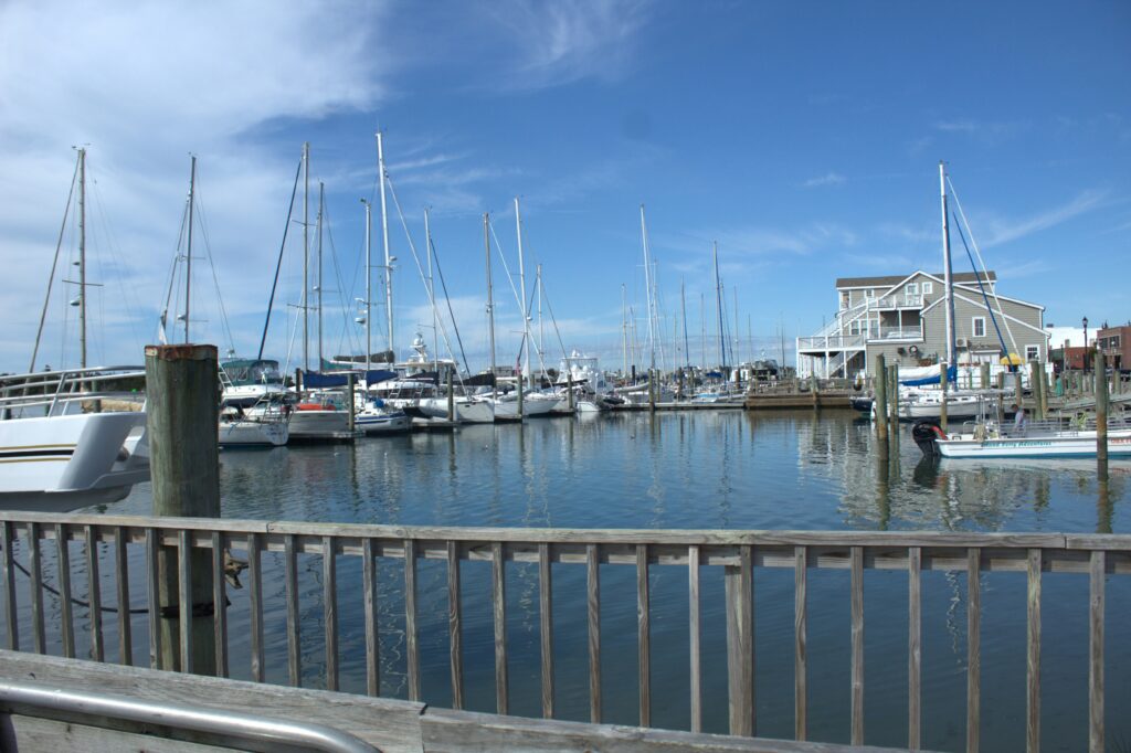 rental boats in a marina
