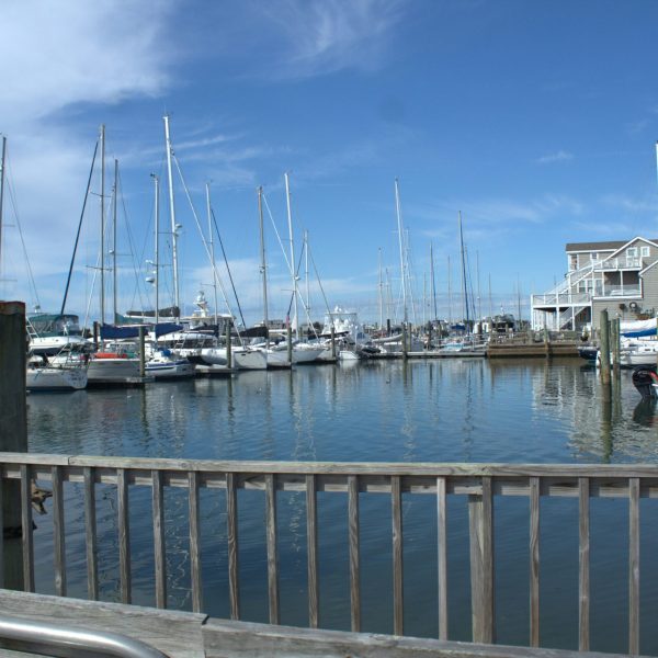 rental boats in a marina