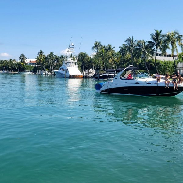 rental boat in a marina