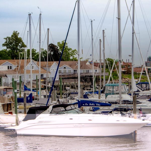 sailboat-rental-fleet